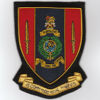 45 Commando Royal Marines wire blazer badge
